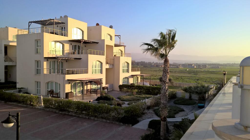 Aphrodite Beachfront Penthouse Apartment Ghaziveran Buitenkant foto